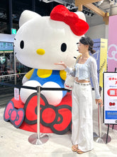 Load image into Gallery viewer, Daisy Ribbon Cardigan Top