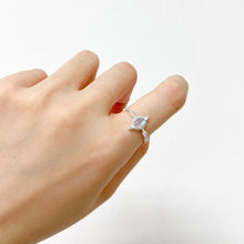 Load image into Gallery viewer, S925 Aladdin Ring